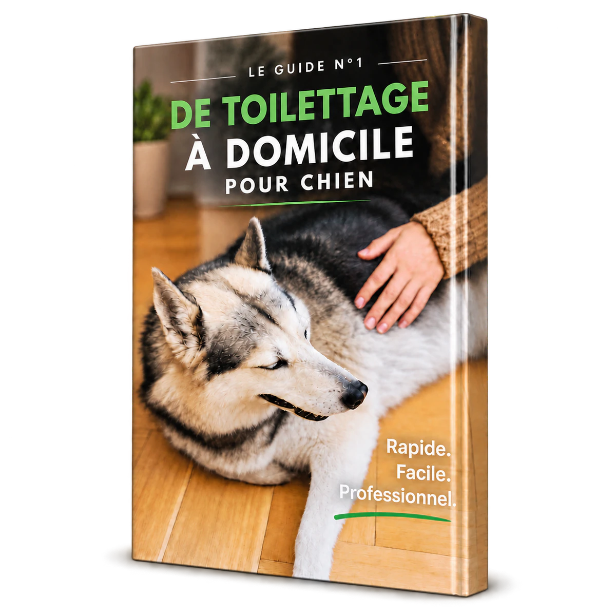 Le guide nº1 du toilettage à domicile pour chien