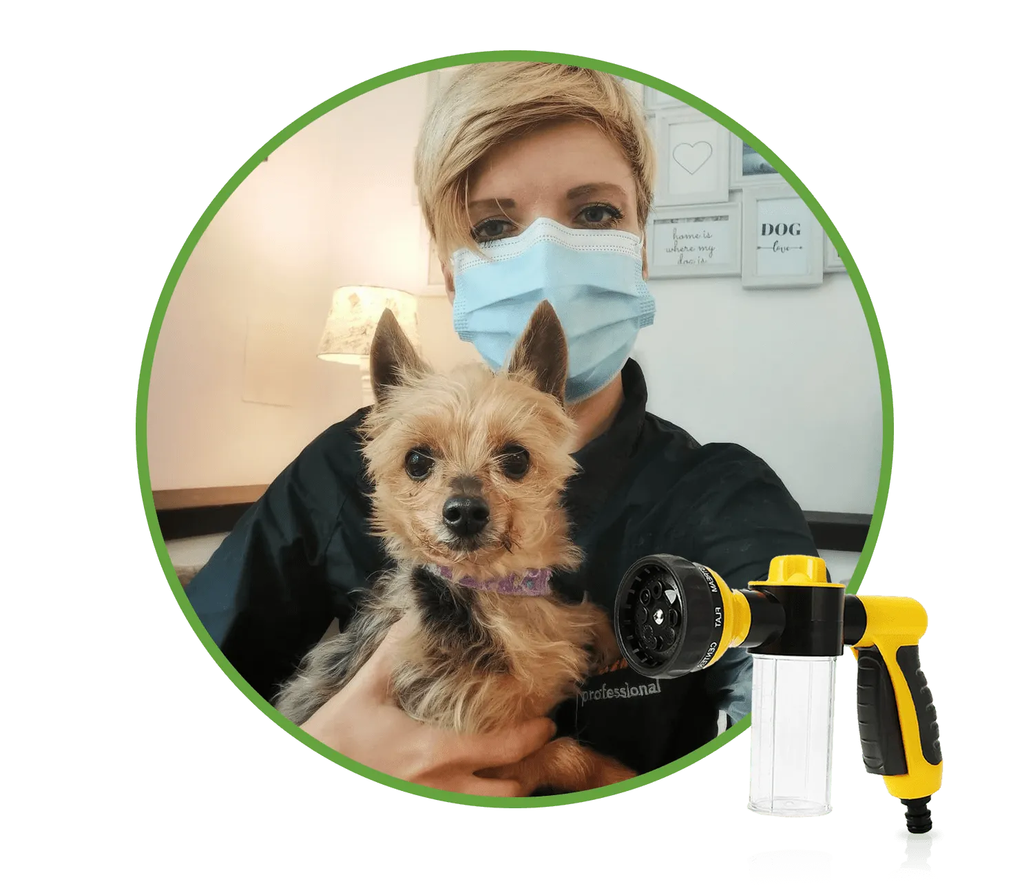 Toiletteuse professionnelle avec un chien et le LeJetCanin