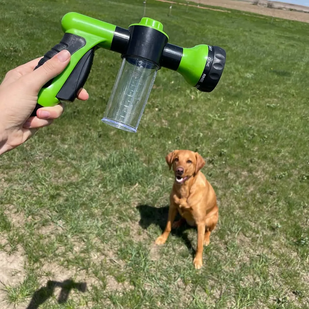 Découvrez l'astuce de toilettage canine devenue virale