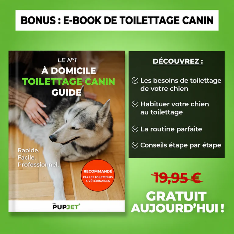 E-book de toilettage canin offert avec LeJetCanin