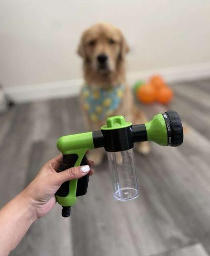 Photo d’un client du LeJetCanin